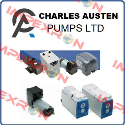 Charles Austen Pumps