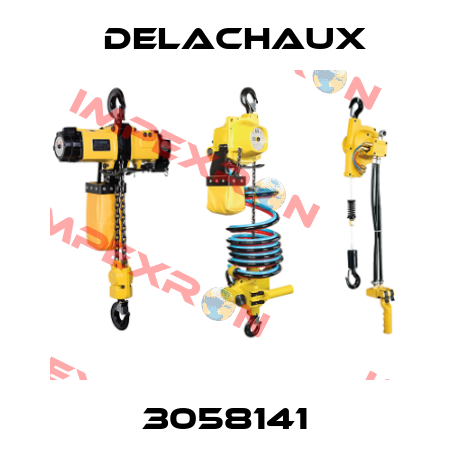 3058141 Delachaux