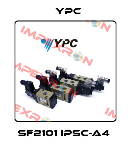 SF2101 IPSC-A4  YPC