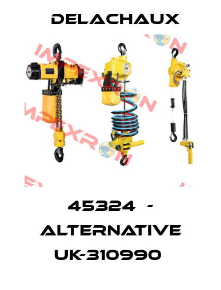 45324  - alternative UK-310990  Delachaux