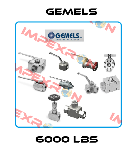 6000 LBS  Gemels