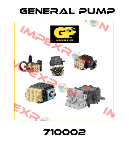 710002 General Pump