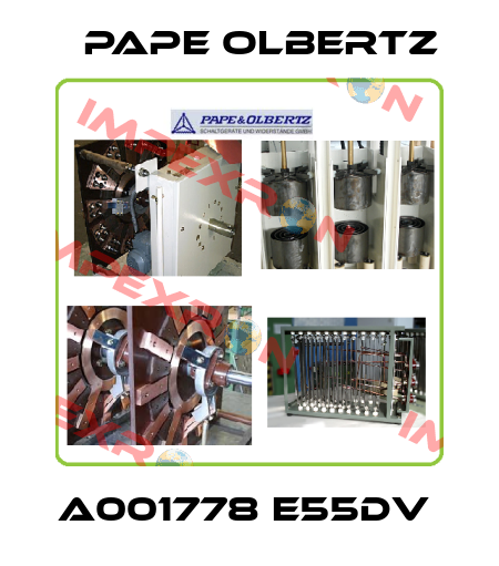 A001778 E55DV  Pape Olbertz