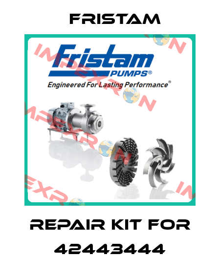 Repair kit for 42443444 Fristam