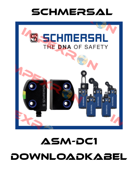 ASM-DC1 DOWNLOADKABEL  Schmersal