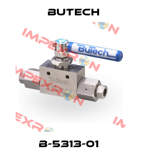 B-5313-01  BuTech