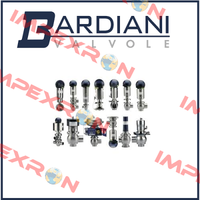 BAMBBF300BEAD  Bardiani Valvole