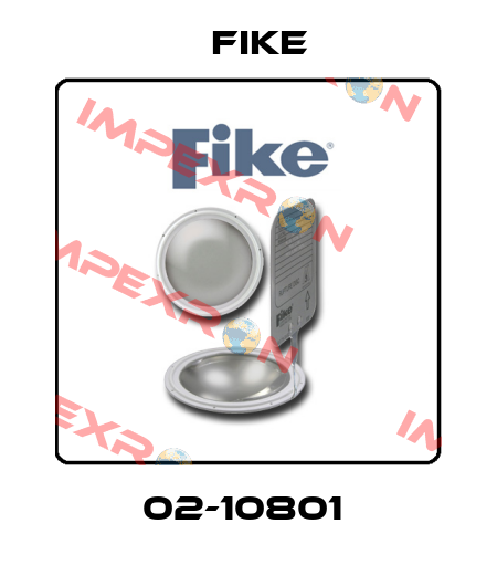 02-10801  FIKE