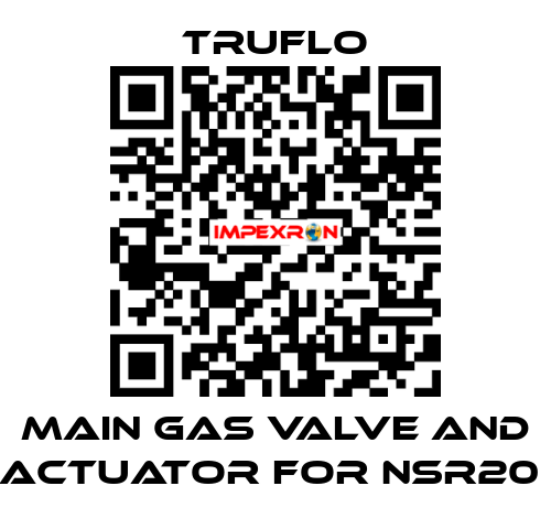 Main Gas Valve and Actuator For NSR20  TRUFLO