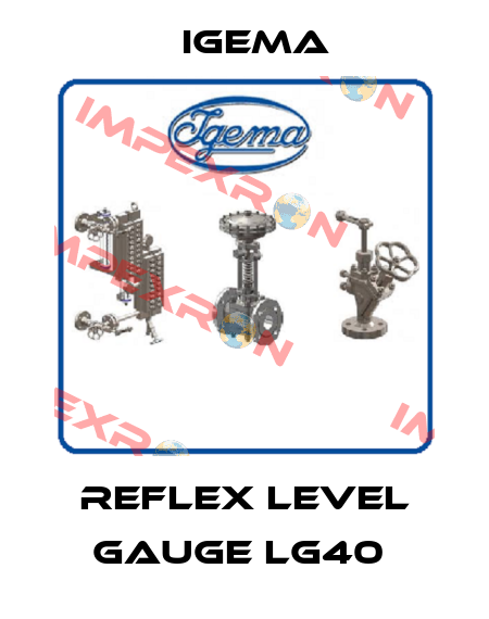 Reflex level gauge LG40  Igema