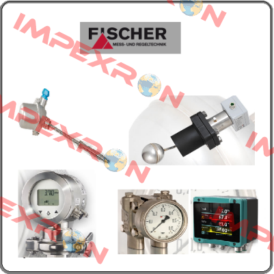 DS1102VA21B10W00  Fischer Mess Regeltechnik