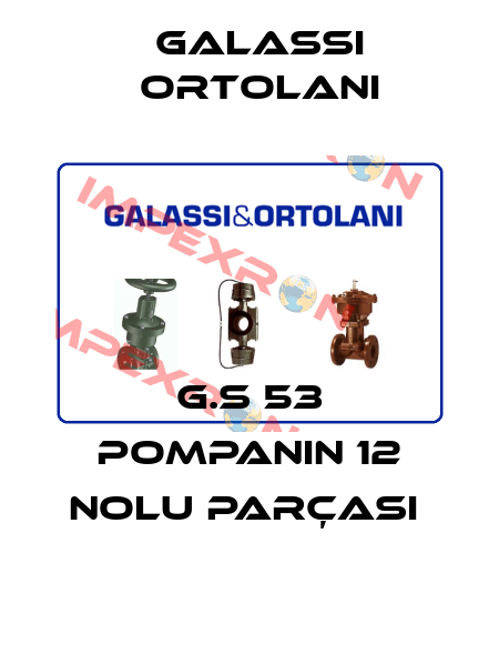 G.S 53 POMPANIN 12 NOLU PARÇASI  Galassi Ortolani