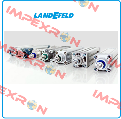 1217-6007  Landefeld