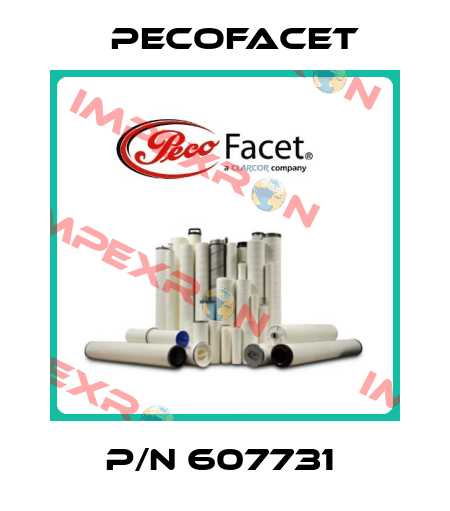 P/N 607731  PECOFacet