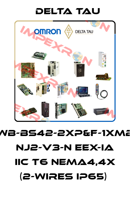 SWB-BS42-2xP&F-1xM20 NJ2-V3-N Eex-ia IIC T6 NEMA4,4x (2-wires IP65)  Delta Tau