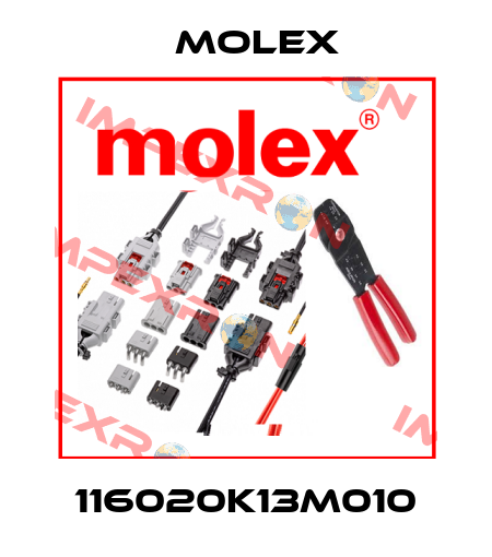 116020K13M010 Molex