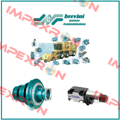 BG-S-160-2A-M08-CL250-N-XXXX-000-XXX-XX Brevini