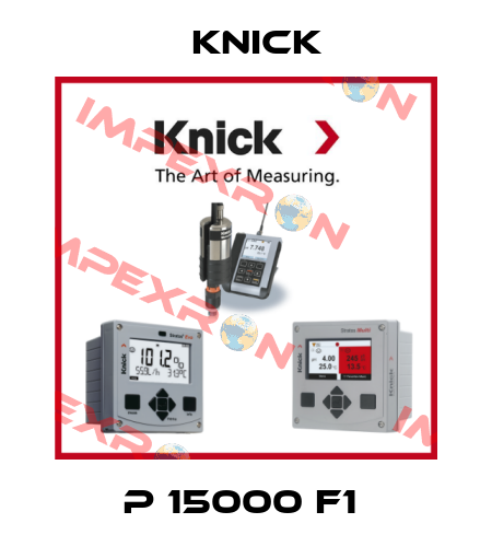 P 15000 F1  Knick