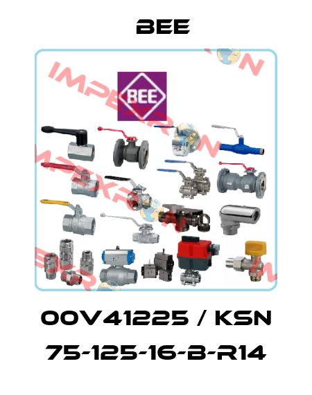 00V41225 / KSN 75-125-16-B-R14 BEE
