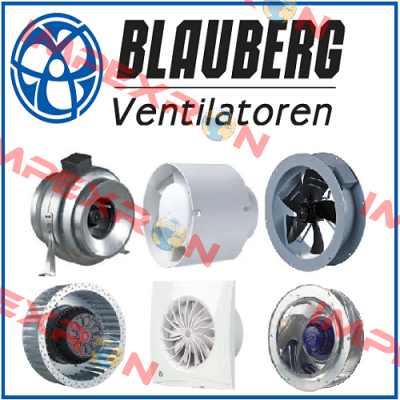 VSR 125 / 8036859 Blauberg