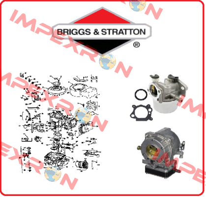 493988 Briggs-Stratton