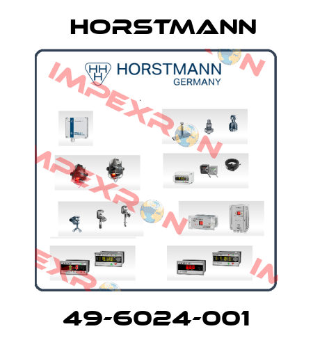 49-6024-001 Horstmann