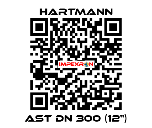 AST DN 300 (12") Hartmann