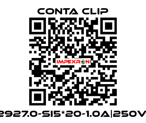 2927.0-SI5*20-1.0A|250V| Conta Clip