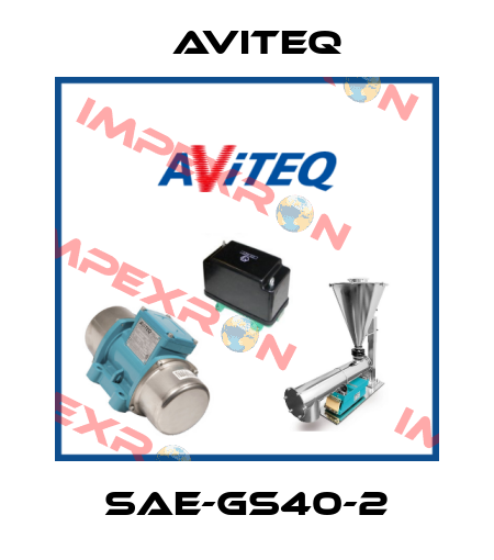 SAE-GS40-2 Aviteq