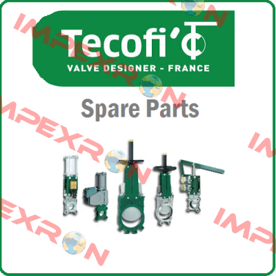 DN 80 (without actuator) Tecofi