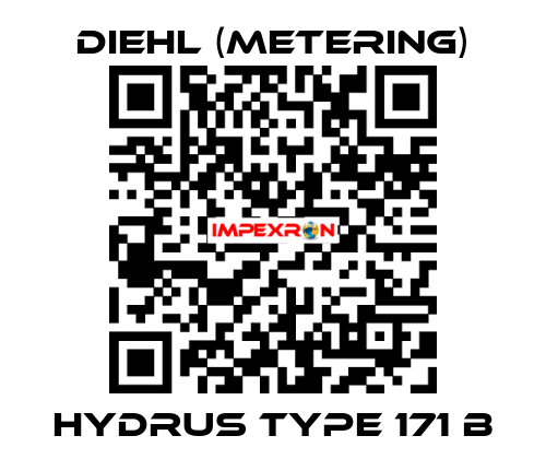 Hydrus Type 171 B Diehl (Metering)