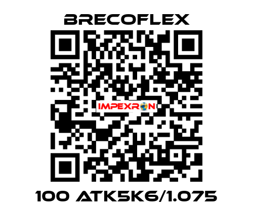 100 ATK5K6/1.075 Brecoflex