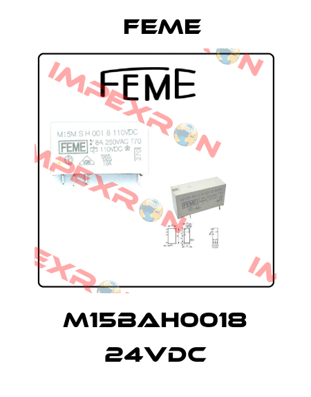 M15BAH0018 24VDC Feme