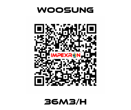 36M3/H WOOSUNG