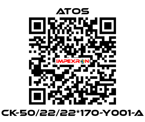 CK-50/22/22*170-Y001-A Atos
