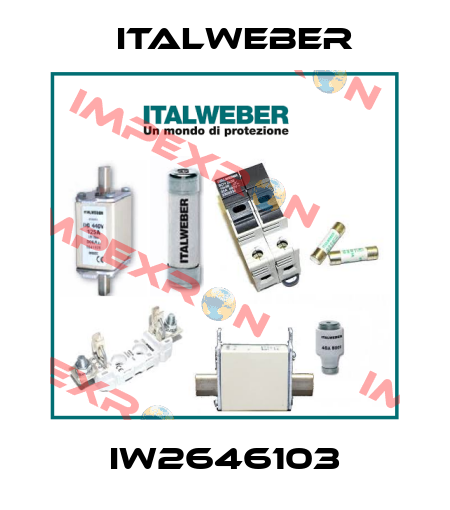 IW2646103 Italweber