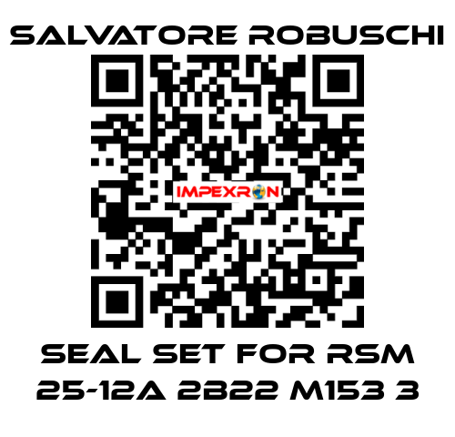 seal set for RSM 25-12A 2B22 M153 3 SALVATORE ROBUSCHI