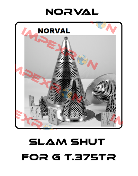 slam shut  for G T.375TR Norval