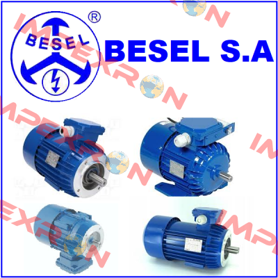 10138 BESEL S.A.
