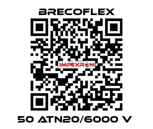 50 ATN20/6000 V  Brecoflex