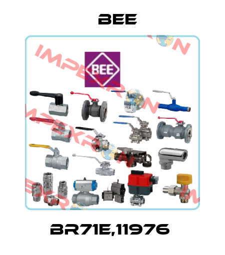 BR71E,11976  BEE