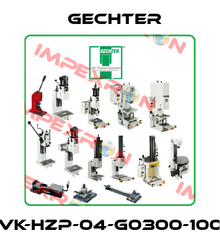VK-HZP-04-G0300-100 Gechter