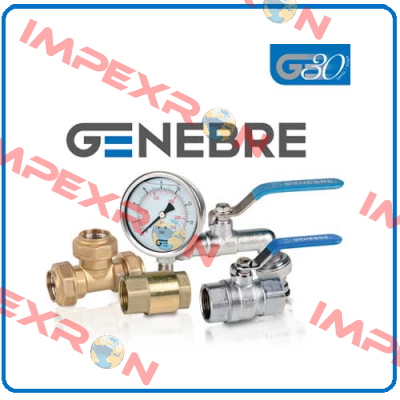 actuator for GN-30S4  Genebre