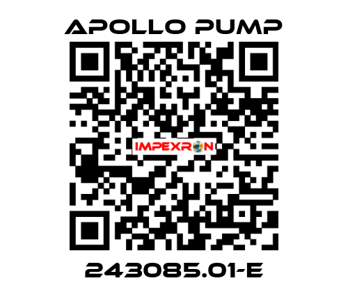 243085.01-E Apollo pump