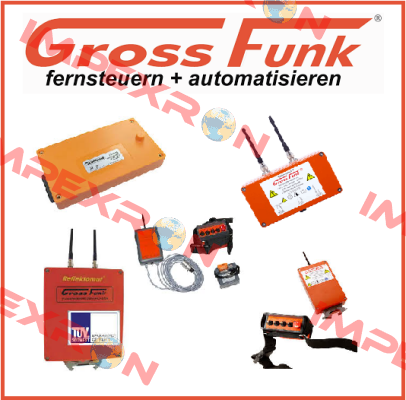 12V/600mAh REPLACED BY 100-000-134 (Wechselakku 12V/1300mAh NiMH)  Gross Funk