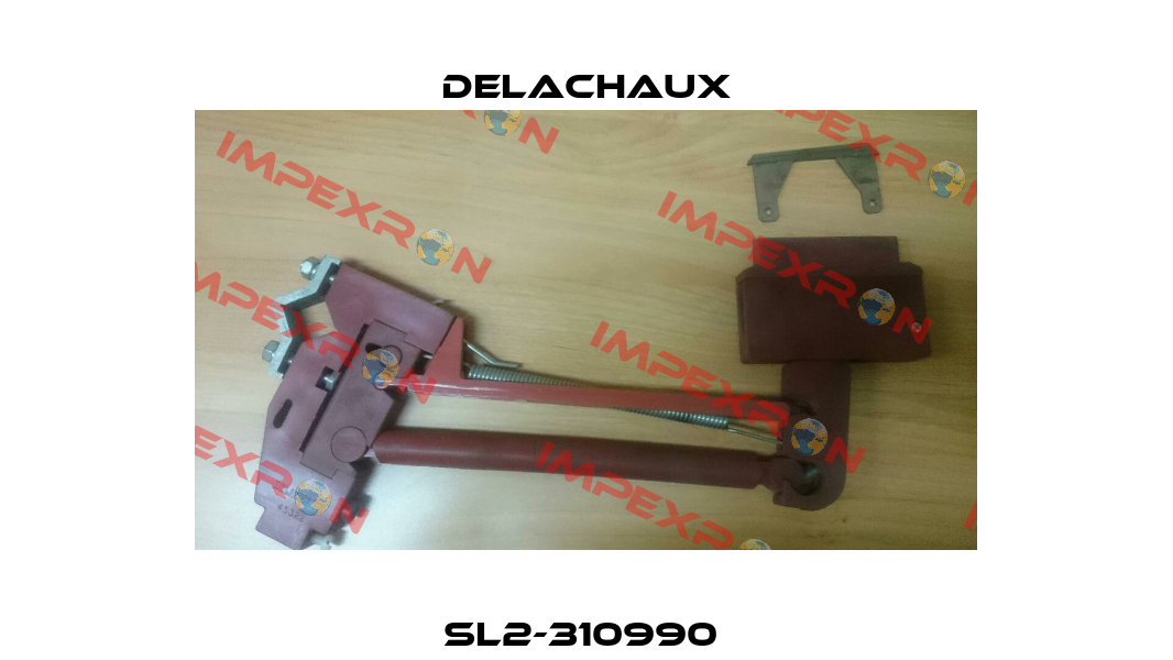 SL2-310990  Delachaux