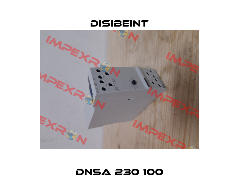 DNSA 230 100 Disibeint